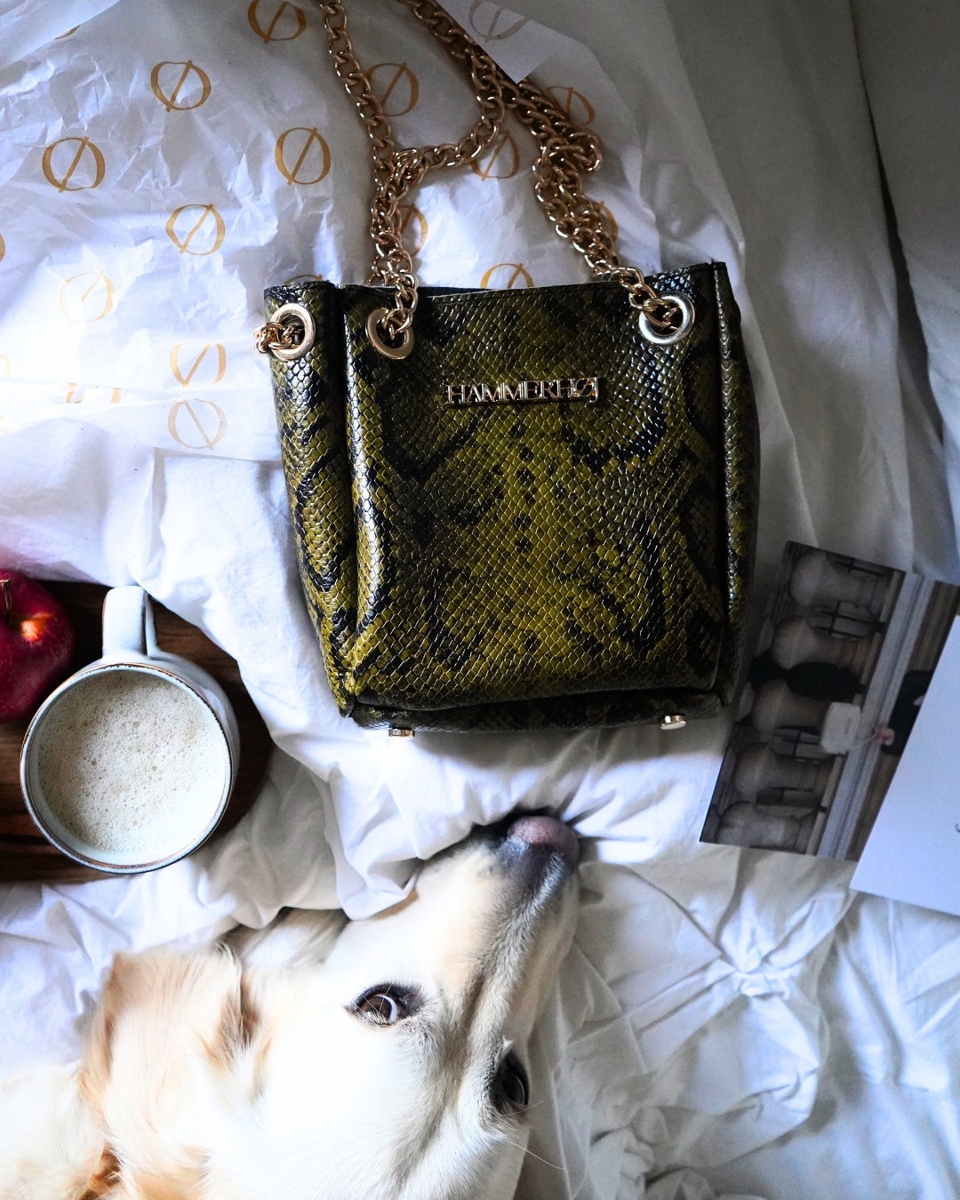 BONSAI XS SIN FLECOS Serp-verd